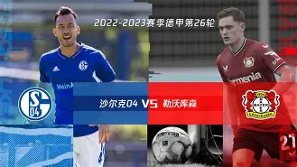 沙尔克主帅下课传闻,球队战绩堪忧的简单介绍 沙尔克主帅下课传闻,球队战绩堪忧的简单介绍