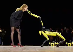 不莱梅战绩赛程
